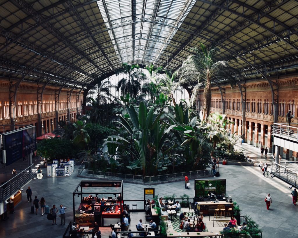 atocha station - what to do in Madrid